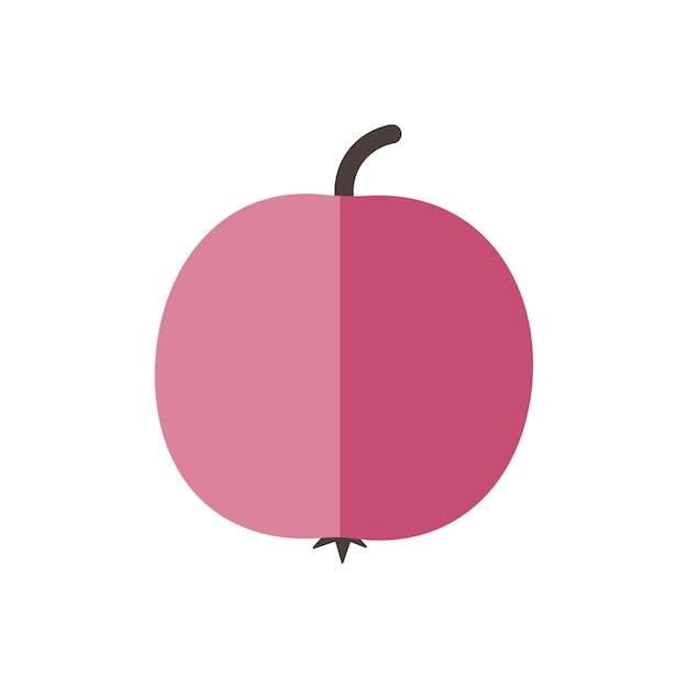 Fruit vector rose apple isolated