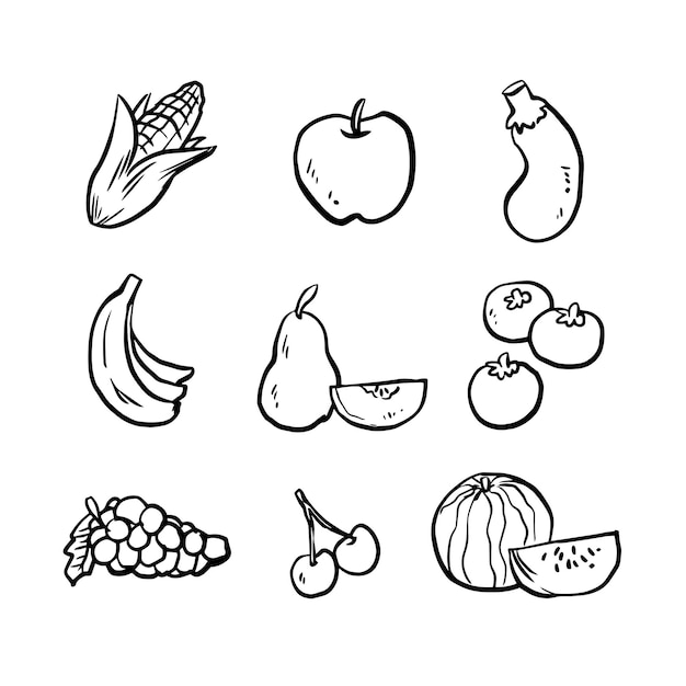 fruit vector set collection vector illustration