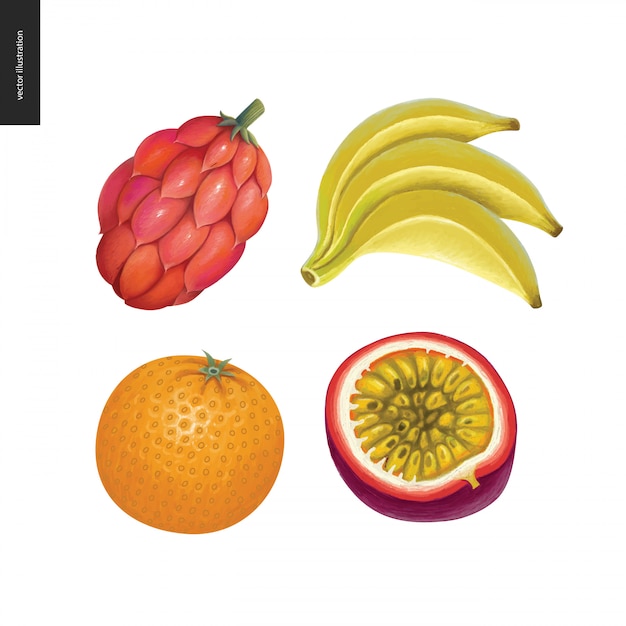 Fruit vector stickers