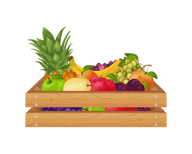 Fruit A wooden box with fruits such as pineapple banana pears apples and also plums peaches grapes Fruit in the drawer vegetarian products Vector illustration