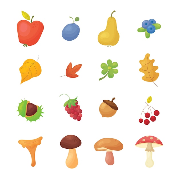 Vector fruits and berries icons set cartoon illustration of 16 fruits and berries vector icons for web