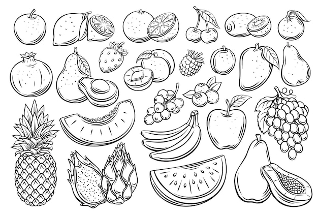 Fruits and berries outline vector icons set. Drawn monochrome raspberry, avocado, grape, peach, whole, half, cherry, mango, slice of watermelon. tangerine, lemon, apricot and ets