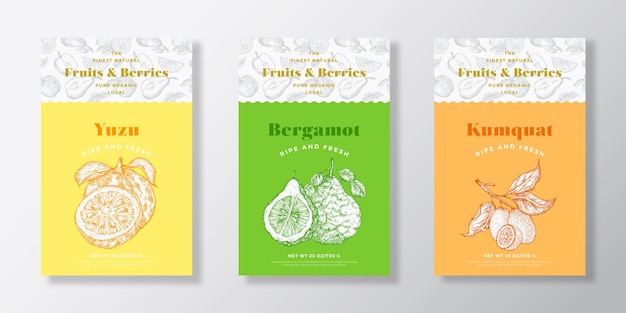 Fruits and Berries Pattern Label Templates Set Vector Packaging Design Layout Collection Modern Typography Banner with Hand Drawn Yuzu Bergamot and Kumquat Sketches Background Isolated