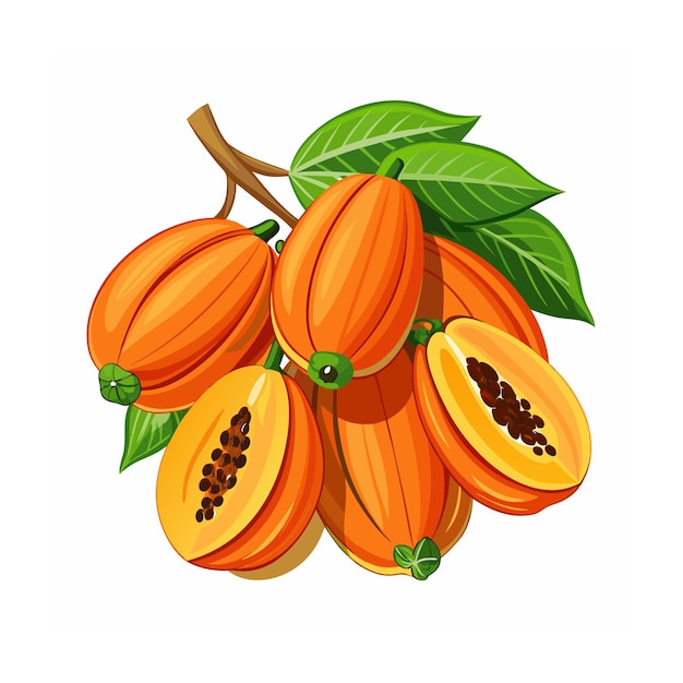 Fruits concept vector illustration