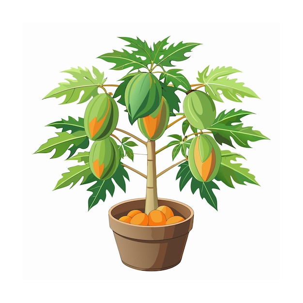 Fruits concept vector illustration