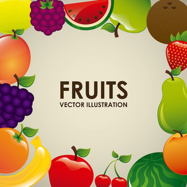 fruits design  over white  background vector illustration