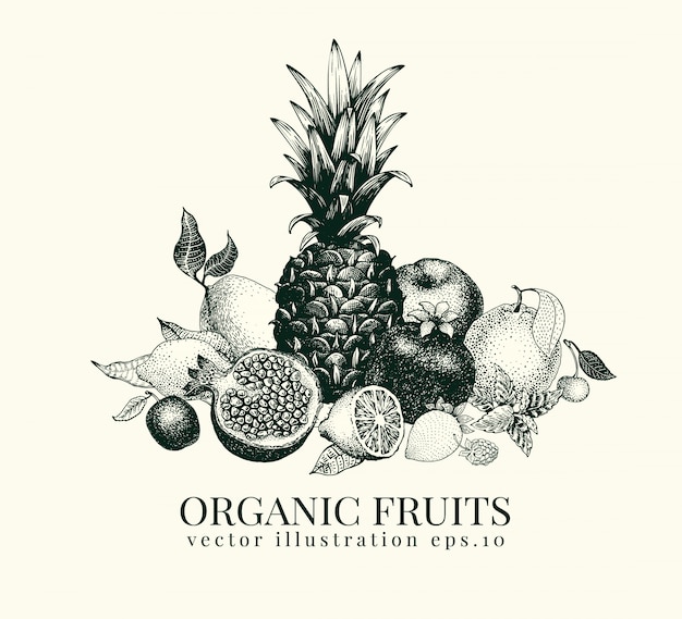 Fruits hand drawn vector illustration.