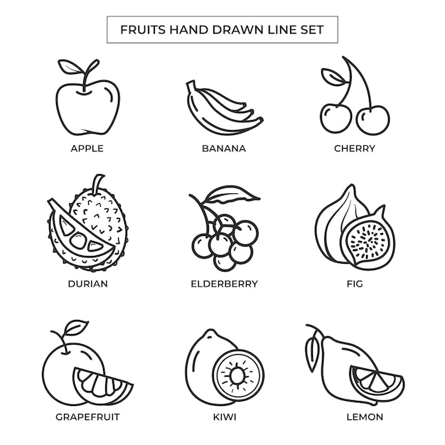 Fruits hand drawn with line art set