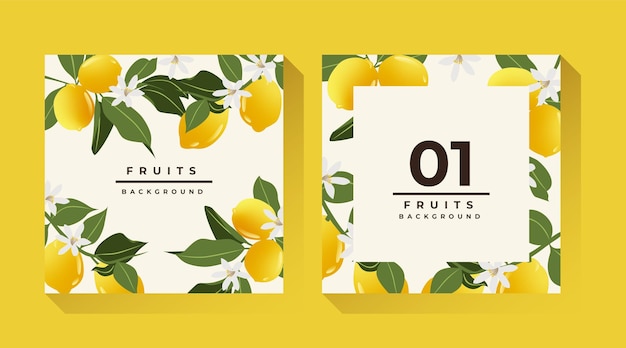 Fruits Illustration Background