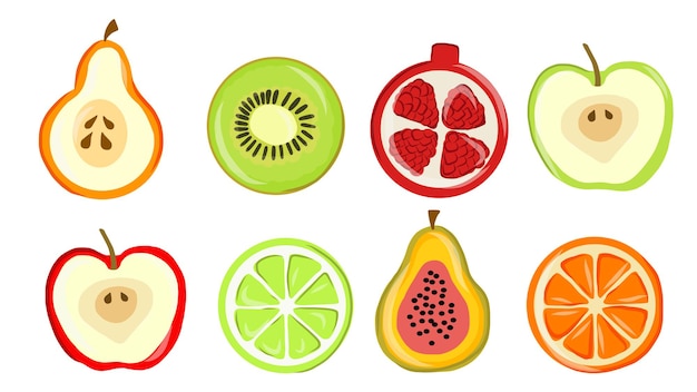 Fruits illustration collection concept