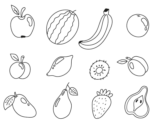 Fruits line doodle outline art food pictogramme isolated design element illustration set collection