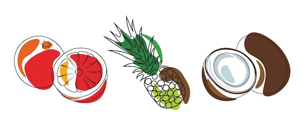 Fruits set, vector icons set. Drawn - grapefruit or orange, pineapple, coconut. Tropical fruits.