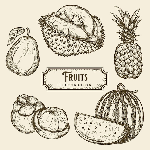 Fruits Sketch