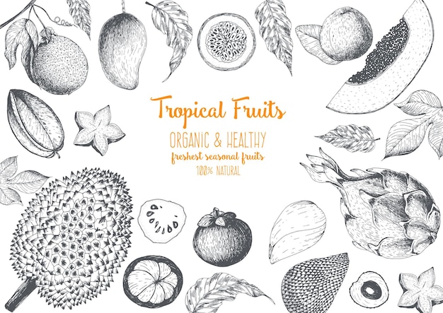 Fruits top view frame Farmers market design Healthy food  Hand drawn sketch vector illustration