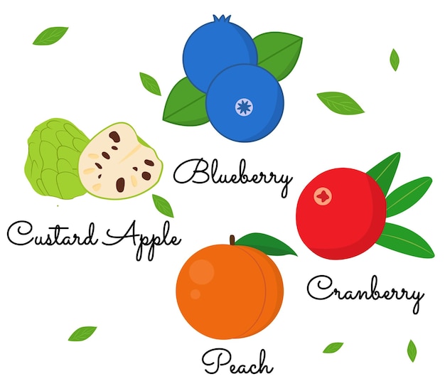 Fruits vector illustrations