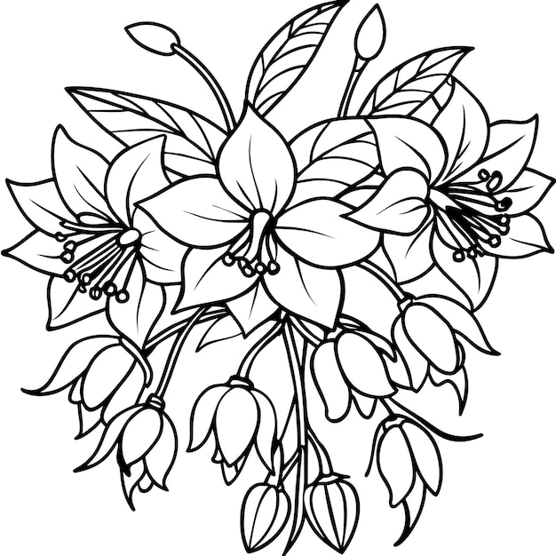 Vector fuchsia flower bouquet outline illustration coloring book page design