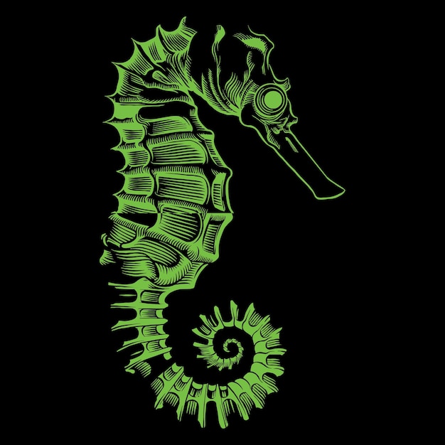 full body seahorse vector