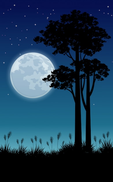 Full moon and trees on beautiful night