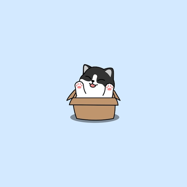 Funny black and white cat in the box cartoon vector illustration