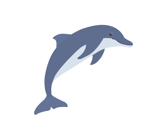 Funny blue Dolphin. Vector illustration