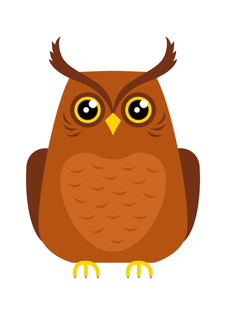 Funny Cartoon Owl Bird Vector illustration