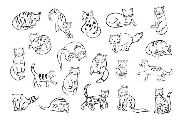 Funny cats vector line illustrations set