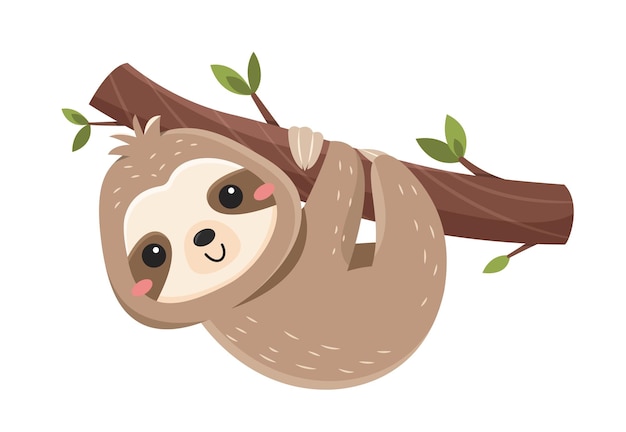 Funny cute sloth