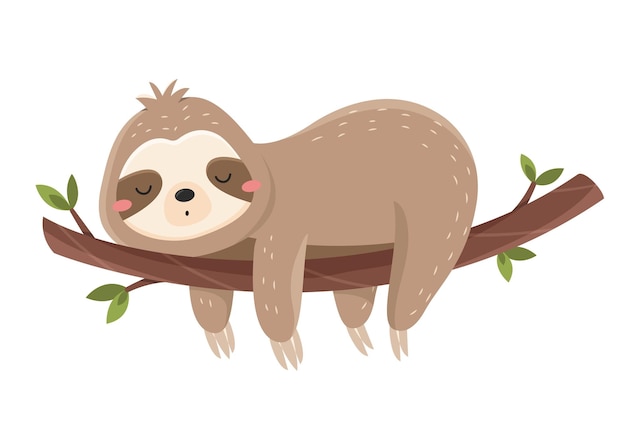 Funny cute sloth