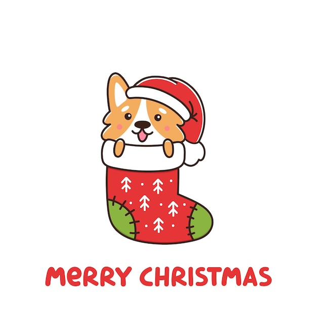 funny dog breed welsh corgi as a gift in christmas sock