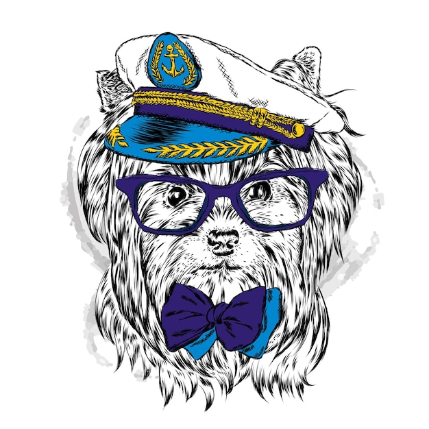 Funny dog in cap and glasses Sailor Vector illustration for greeting card