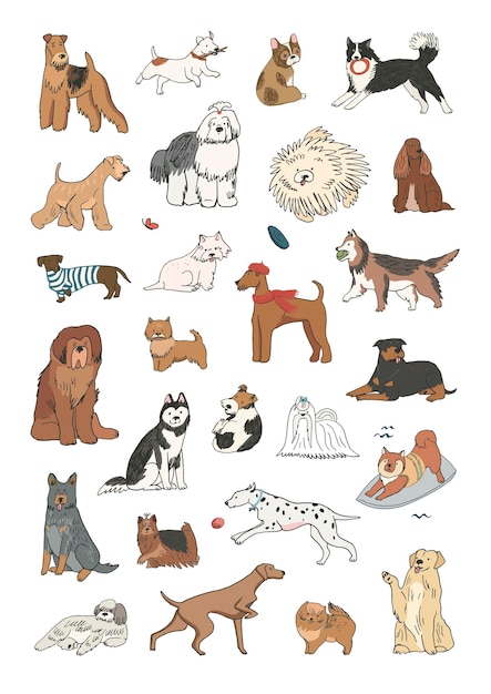 Funny Dogs vector illustrations set