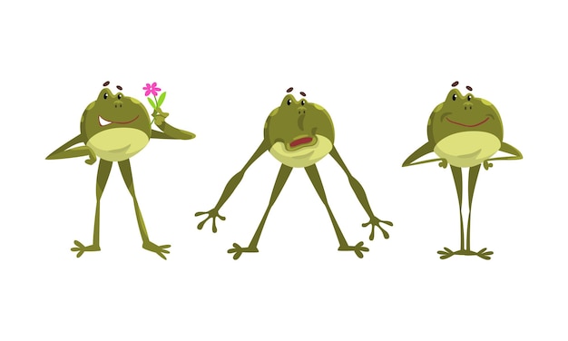 Vector funny green frog with protruding eyes standing with hands on hips and holding flower vector set