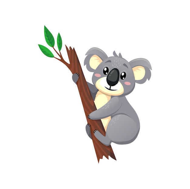 Funny koala cartoon character eucalyptus branch