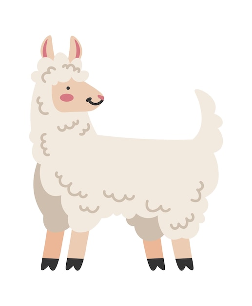 Funny Llama Alpaca icon Vector illustration