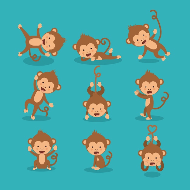 funny monkey  design