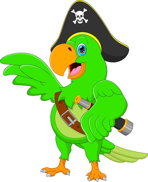 Funny pirate parrot cartoon isolated on white background