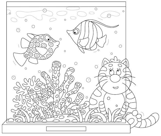 Funny plump cat closely watching tropical fishes swimming in a home aquarium with corals