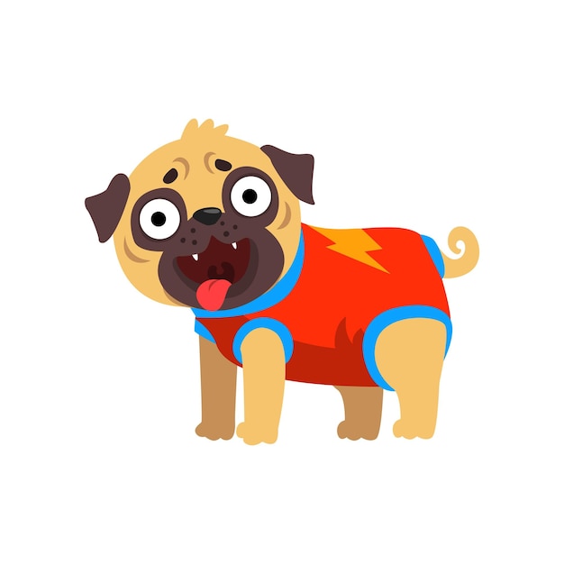 Funny pug dog character dressed as superhero vector Illustration isolated on a white background.