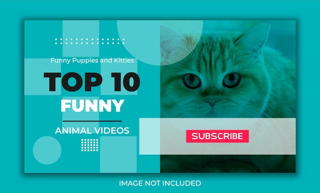 Funny puppies and fitties top 10 funny animal promotional videos