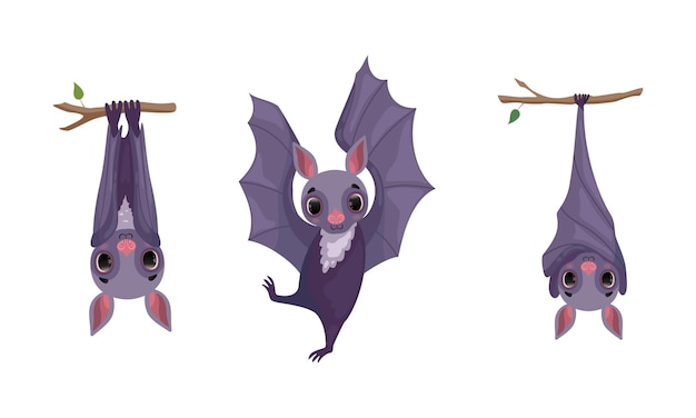 Funny Purple Bat with Cute Snout Hanging Upside Down on Tree Branch and Dancing Vector Set