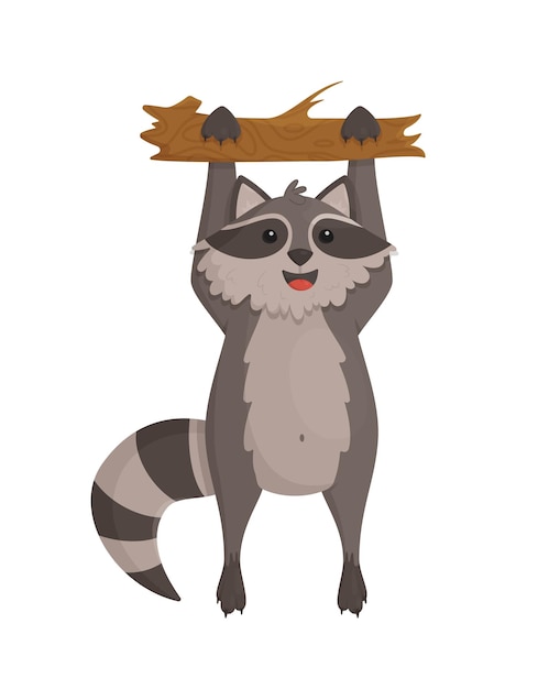 A funny raccoon with a striped tail hanging from a tree