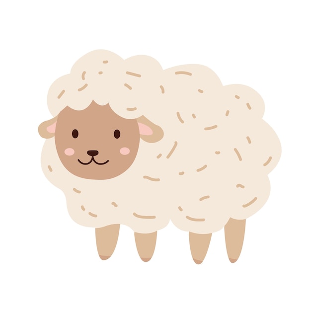 funny sheep