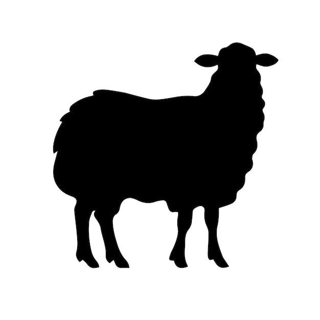 Funny white and black sheep animals doodle