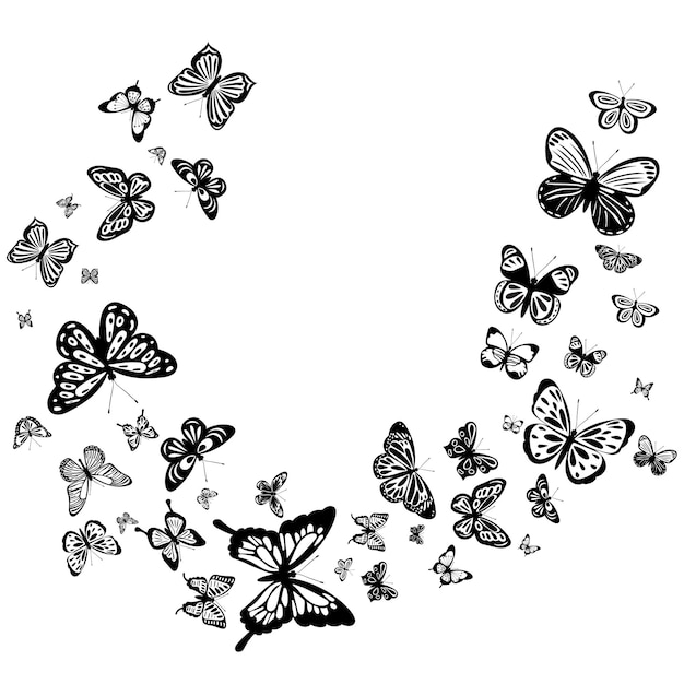 Fwhite background with flying butterflies silhouette isolated