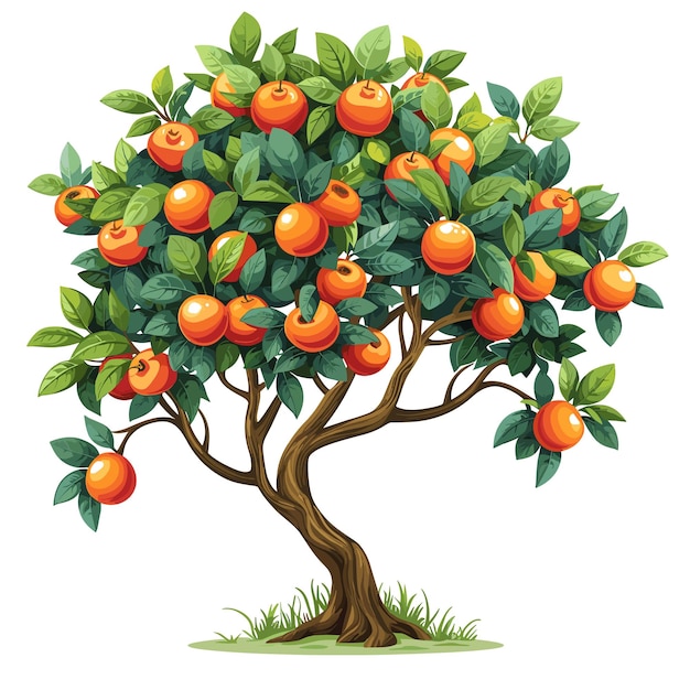 Gac Fruit Tree Flat Colors Cartoon Icon Isolated Transparent Background Images