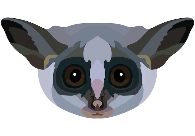 Galago face The muzzle of a cute small mammal is depicted Bright portrait on a white background predictive graphics animal logo