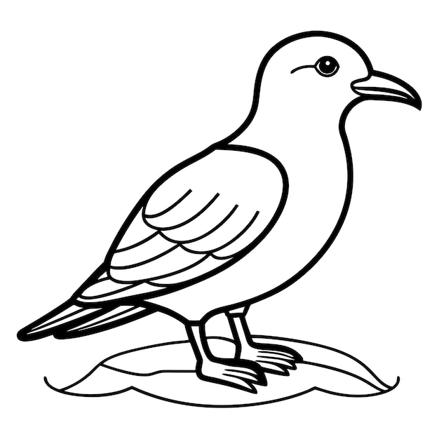 Vector galapagos storm petrel bird sits icon vector