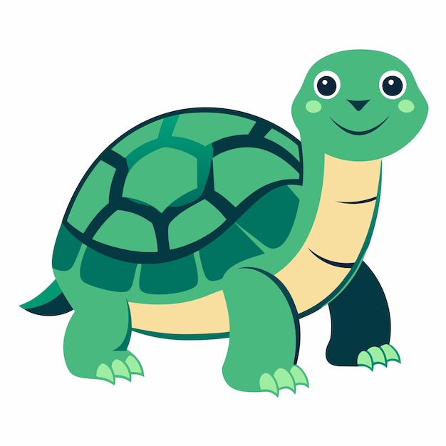 Galapagos Tortoise turtle stay kawaii