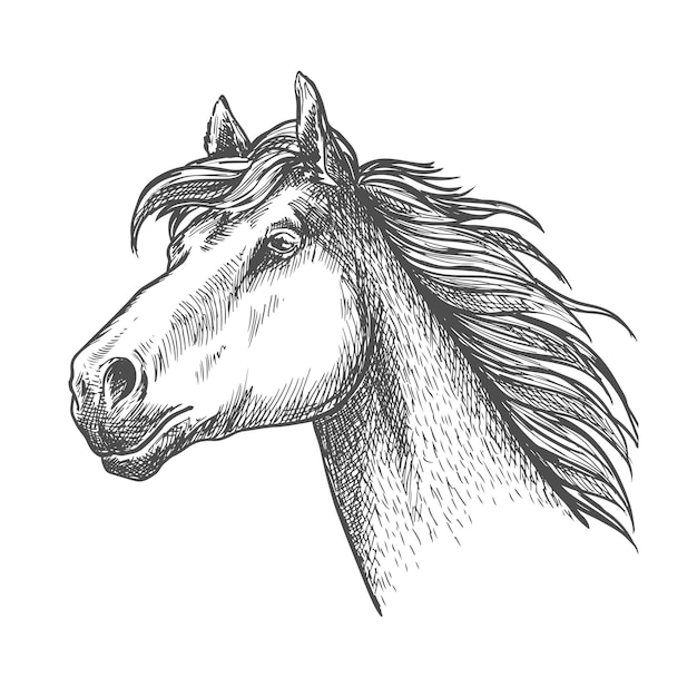 Galloping horse of andalusian breed sketch symbol