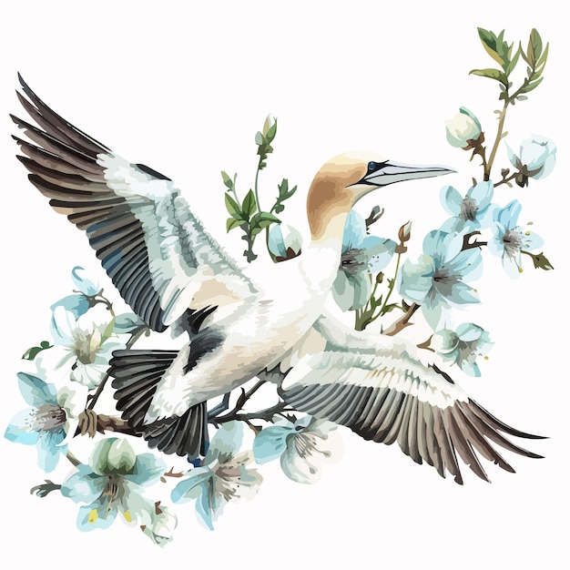 Gannet Floral Handdrawn Watercolor Illustration Isolated